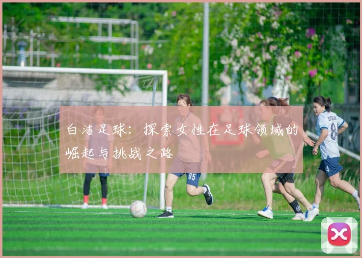 白洁足球：探索女性在足球领域的崛起与挑战之路