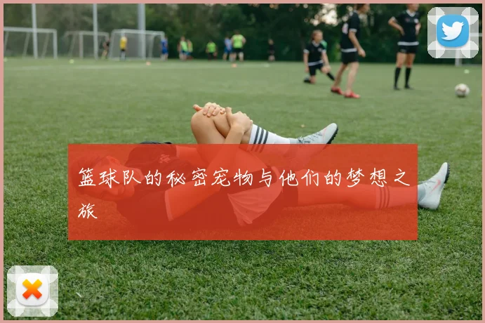 篮球队的秘密宠物与他们的梦想之旅
