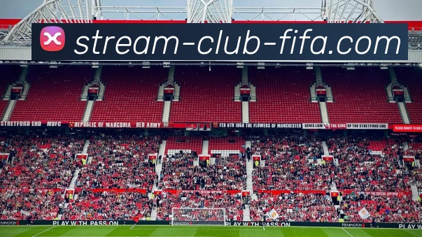 线上买球APP 封面图